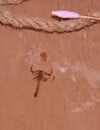 Un scorpion a failli piquer Rémi dans Moundir et les apprentis aventuriers.