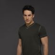 The Vampire Diaries saison 8 : Tyler va-t-il revenir ?