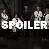Grey&#039;s Anatomy saison 13 : Alex bientôt viré ?