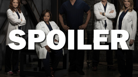 Grey's Anatomy saison 13 : Alex bientôt viré ?