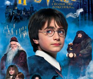 Robin Williams aurait pu incarner Hagrid dans Harry Potter.