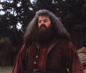 Si Robin Williams aurait pu incarner Hagrid dans Harry Potter, c'est finalement Robbie Coltrane qui a été choisi.