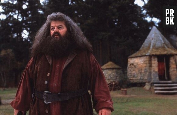 Si Robin Williams aurait pu incarner Hagrid dans Harry Potter, c'est finalement Robbie Coltrane qui a été choisi.