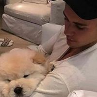 Justin Bieber aurait abandonné son chien malade à un ami, la polémique qui enfle