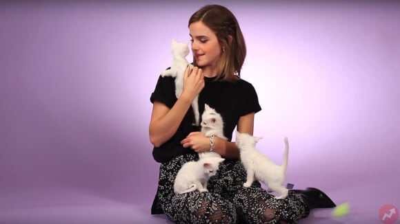 Emma Watson (La Belle et la Bête) : son interview chatons va vous faire doublement craquer ?