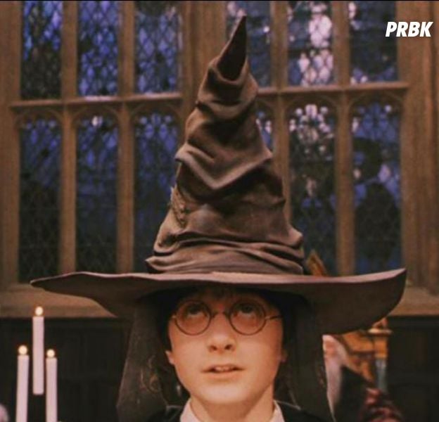 choixpeau Harry Potter - Harry Potter