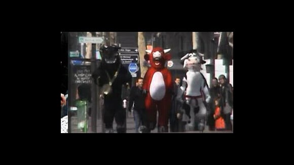 La Vache qui rit ... encore un nouveau Ramdam en vidéo !!