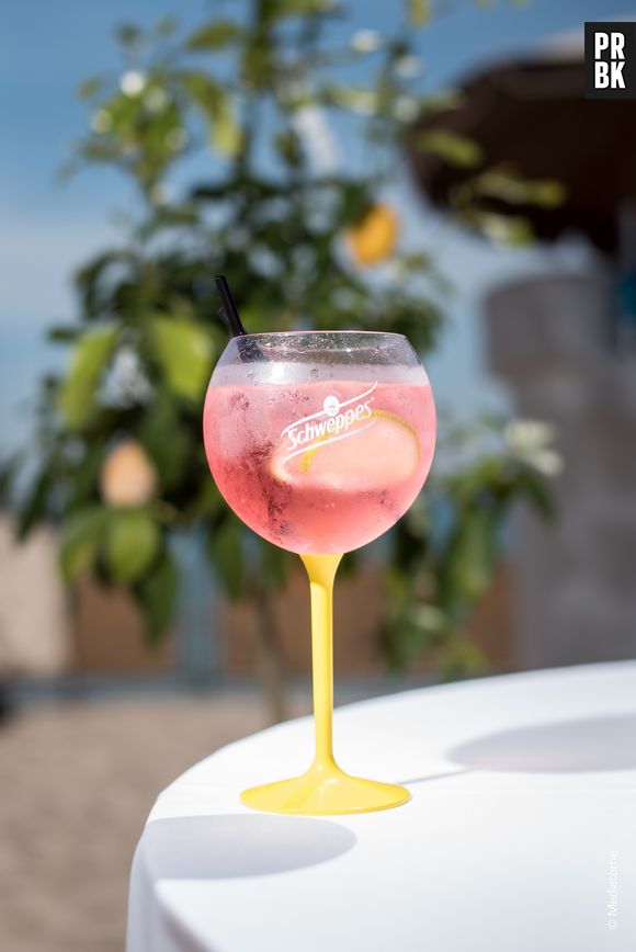 Villa Schweppes - Cannes 2017