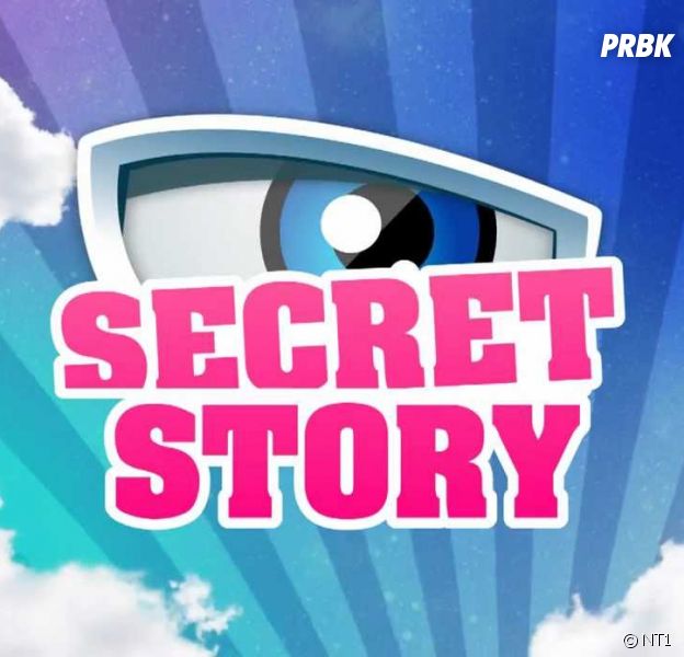Secret Story 11 : à la recherche de candidats, une directrice de casting aurait pris au sérieux un article du Gorafi
