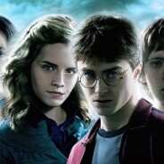 Harry Potter : un personnage culte donne son nom à... une nouvelle guêpe
