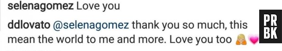 Selena Gomez soutient Demi Lovato sur Instagram : Delena is back !