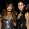 Selena Gomez soutient Demi Lovato sur Instagram : leurs messages so cute !
