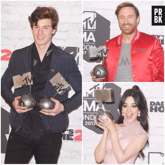 MTV EMA's 2017 : Shawn Mendes, David Guetta, Camila Cabello... découvrez le palmarès complet