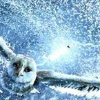 Guardians of Ga'hoole ... une première bande annonce du film en VO