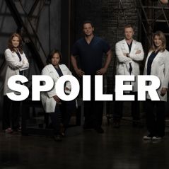 Grey's Anatomy saison 14 : Jackson et Maggie bientôt ensemble ? Les acteurs défendent le couple