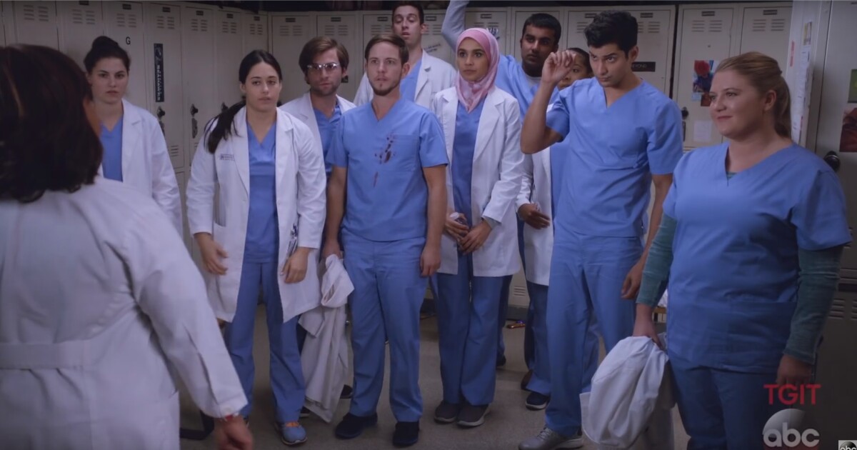 Grey's Anatomy saison 14 : apprenez à connaître les nouveaux internes