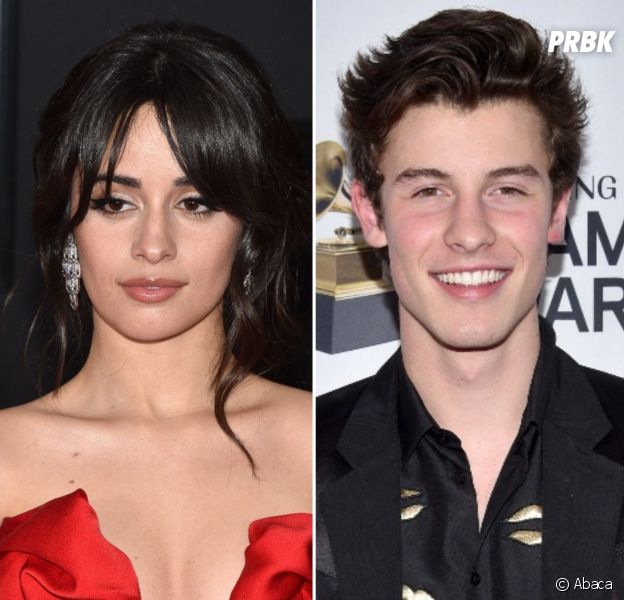 Camila Cabello Et Shawn Mendes En Couple Les Rumeurs