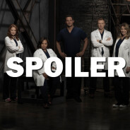 Grey&#039;s Anatomy saison 14 : un nouvel acteur débarque avec un rôle &quot;top secret&quot;