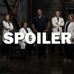 Grey's Anatomy saison 14 : un nouvel acteur débarque avec un rôle "top secret"