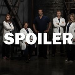 Grey's Anatomy saison 14 : une actrice sur le départ ?