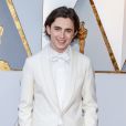Timothée Chalamet sur le tapis rouge des Oscars le 4 mars 2018 à Los Angeles
