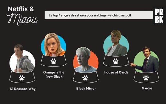 Avec qui faire du binge watching de séries sur Netflix ? Avec ses animaux de compagnie, qui sont des parfaits téléspectateurs selon 55% des personnes interrogées.
