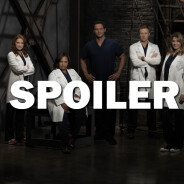 Grey&#039;s Anatomy saison 14 : Ellen Pompeo promet un final difficile