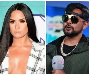 Demi Lovato victime d'une overdose : Sean Paul accuse la "spirale infernale" de l'industrie musicale
