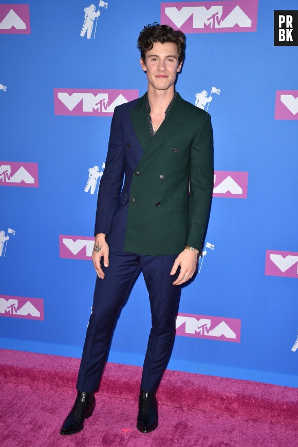 Shawn Mendes sur le red carpet des MTV VMA 2018.