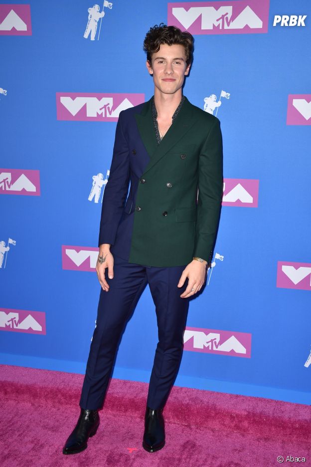 Shawn Mendes sur le red carpet des MTV VMA 2018.