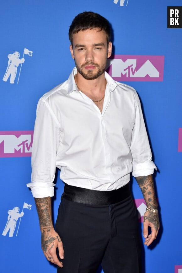 Liam Payne sur le red carpet des MTV VMA 2018.