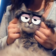 Snapchat : les chats ont leurs propres filtres, ça fait ronronner de plaisir leurs propriétaires !