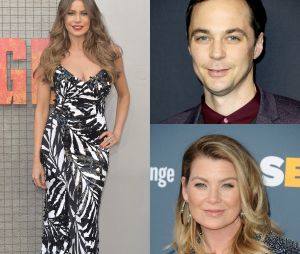 Jim Parsons, Sofia Vergara, Ellen Pompeo... : le classement des stars télé les mieux payés