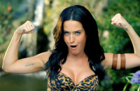 Top 10 des clips les plus vus sur YouTube : Roar, Katy Perry (8ème)