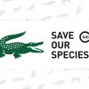 Lacoste s'engage encore avec "Save Our Spacies" ("Sauver nos espèces") : la marque remplace son logo de crocodile par des animaux menacés d'extinction.