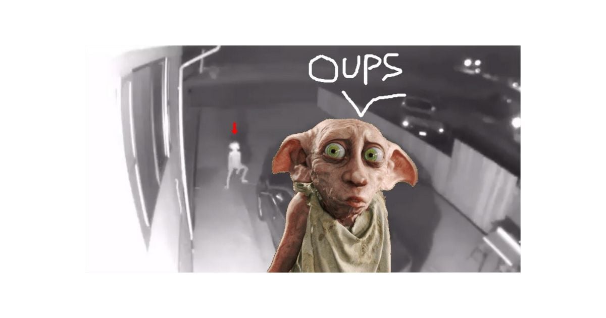 Les Extraterrestre Existe T Il Vraiment Harry Potter : Dobby existe-t-il vraiment ? L'elfe repéré dans une
