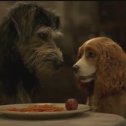La Belle et le Clochard : la bande-annonce du remake en live-action enfin dévoilée !