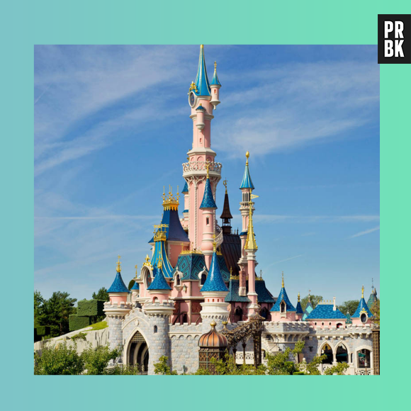 Quel programme te correspond le mieux à Disneyland® Paris?
