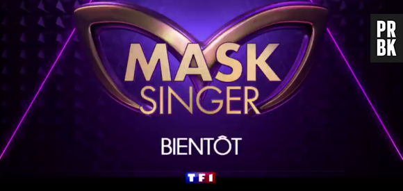 Mask Singer : quelles stars ont participé au programme ? TF1 dévoile les premiers indices