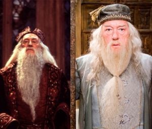 Harry Potter : Richard Harris à gauche et Michael Gambon à droite