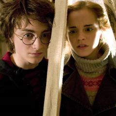 Harry Potter et la Coupe de Feu diffusé en accéléré sur TF1 ? Les fans en colère