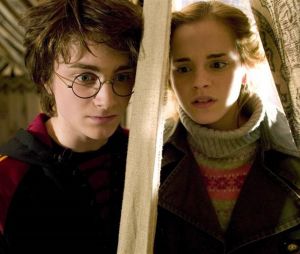 Harry Potter et la Coupe de Feu diffusé en accéléré sur TF1 ? Les fans en colère
