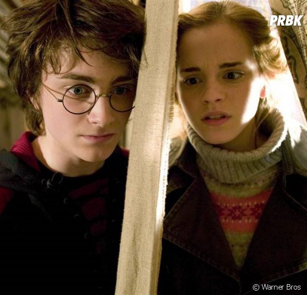 Harry Potter et la Coupe de Feu diffusé en accéléré sur TF1 ? Les fans en colère