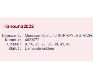 Cyril Hanouna candidat à l'élection présidentielle face à Emmanuel Macron ? L'animateur a déposé la marque Hanouna2022 à l'INPI