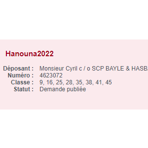 Cyril Hanouna candidat à l'élection présidentielle face à Emmanuel Macron ? L'animateur a déposé la marque Hanouna2022 à l'INPI