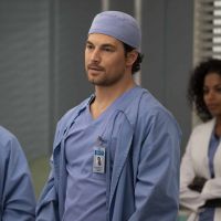 Grey's Anatomy saison 17 : un saut dans le temps prévu
