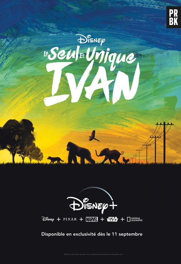 Le seul et unique Ivan : 4 bonnes raisons de voir le film sur Disney+ (dispo dès ce vendredi 11 septembre 2020)