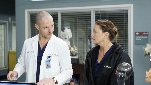 Grey's Anatomy saison 18 : Meredith et Hayes en couple cette année ? C'est possible