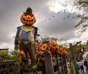 Festival Halloween Disney 2021 : les citrouilles envahissent le parc Disneyland Paris