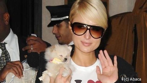 Paris Hilton sa sextape mêlée à des poursuites judiciaires - Purebreak
